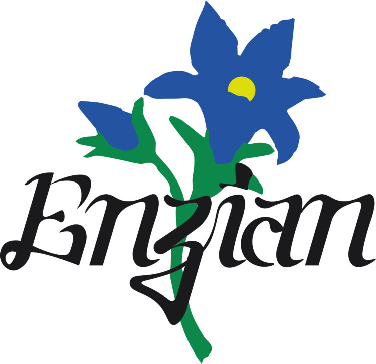 Enzian